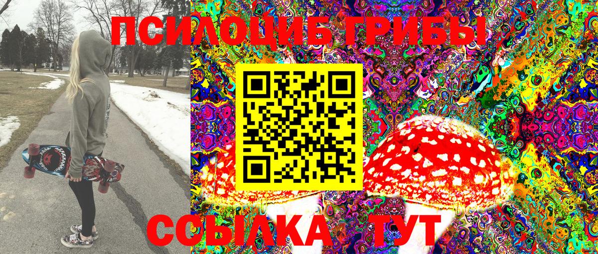 Топки  Галлюциногенные грибы GOLDEN TEACHER  Вход с VPN 
